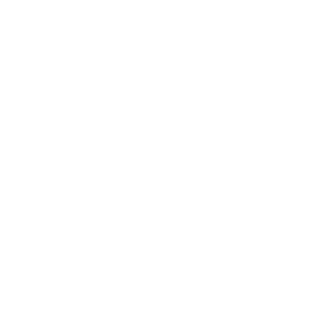 Bracheichler Logo